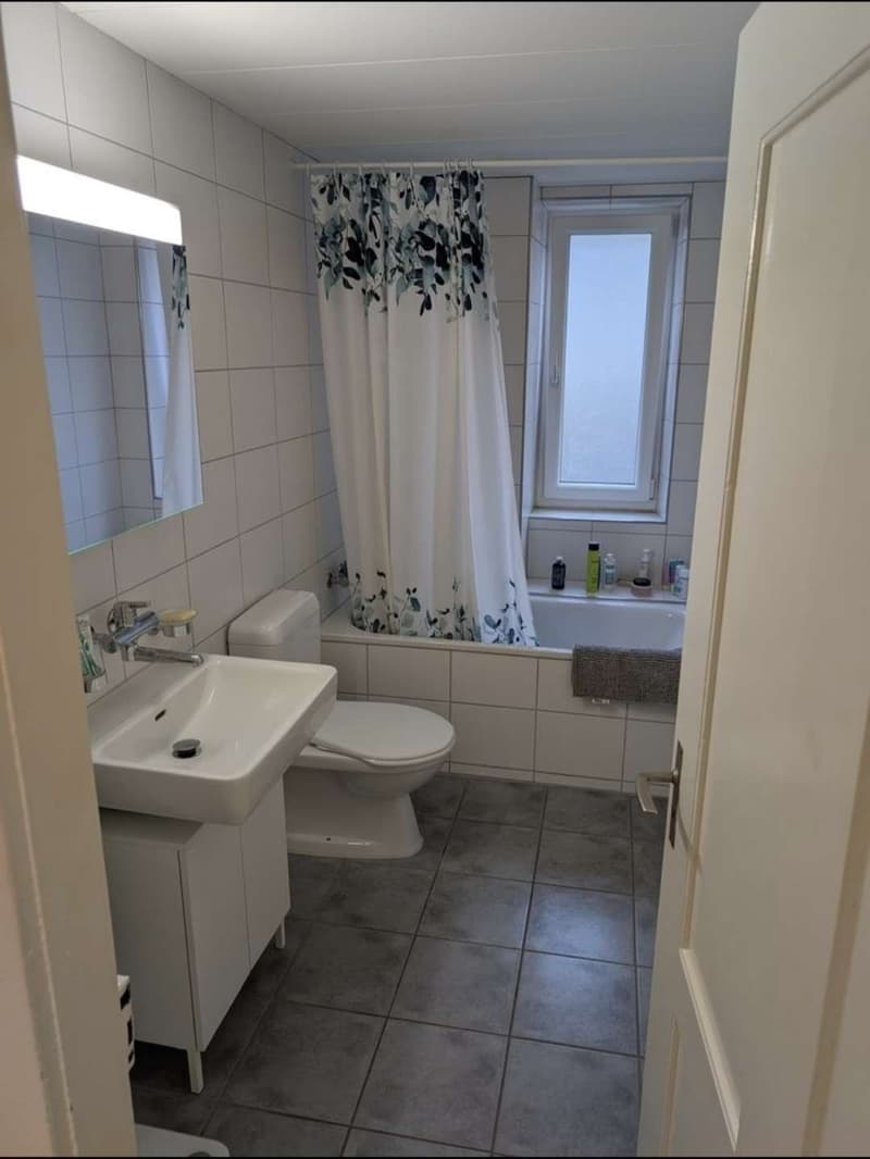 3-room apartment in Zürich Oerlikon Looking for a Nachmieter (8)
