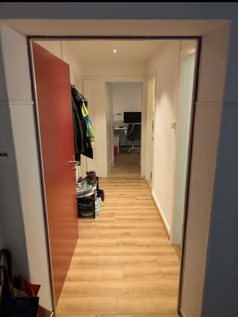 3-room apartment in Zürich Oerlikon Looking for a Nachmieter (1)