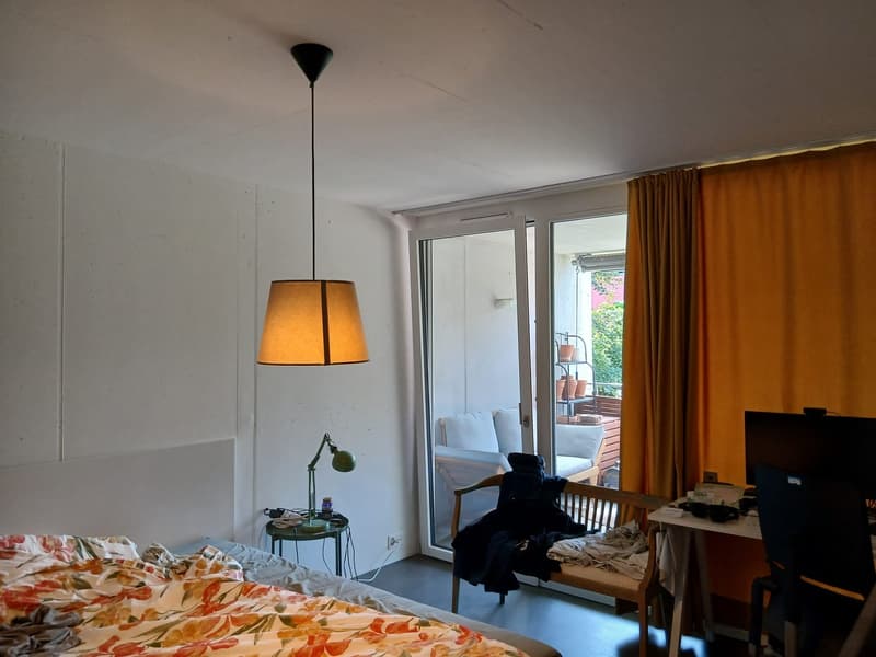 2 bedroom apartment in Zurich (12)