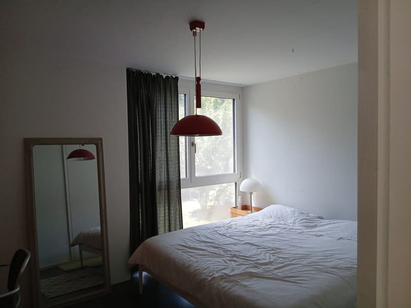 2 bedroom apartment in Zurich (10)