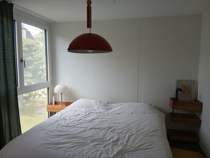 2 bedroom apartment in Zurich (9)