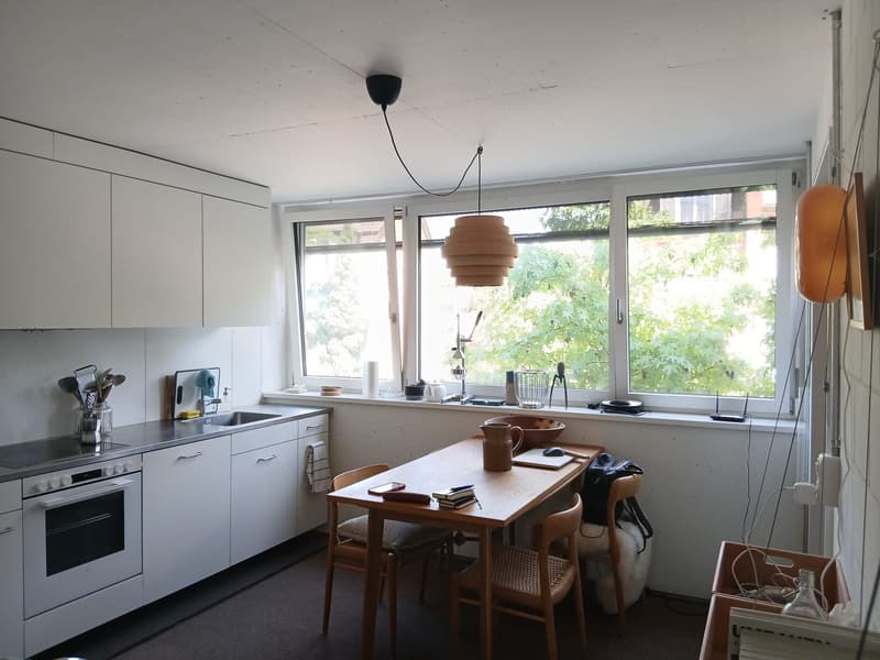 2 bedroom apartment in Zurich (8)