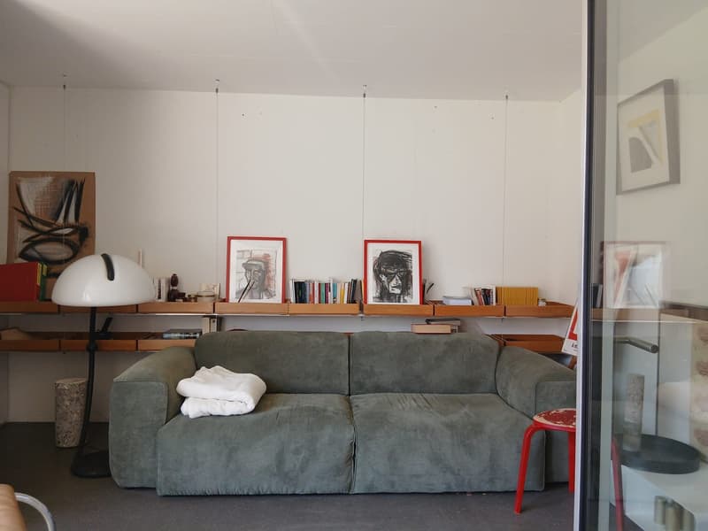 2 bedroom apartment in Zurich (2)