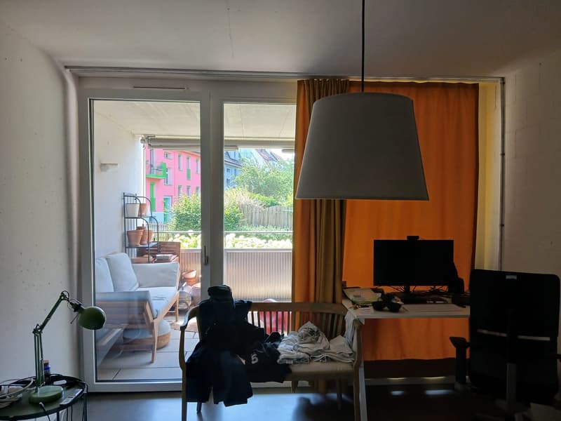 2 bedroom apartment in Zurich (13)