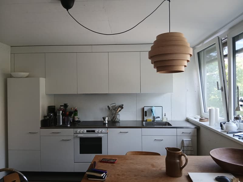 2 bedroom apartment in Zurich (3)