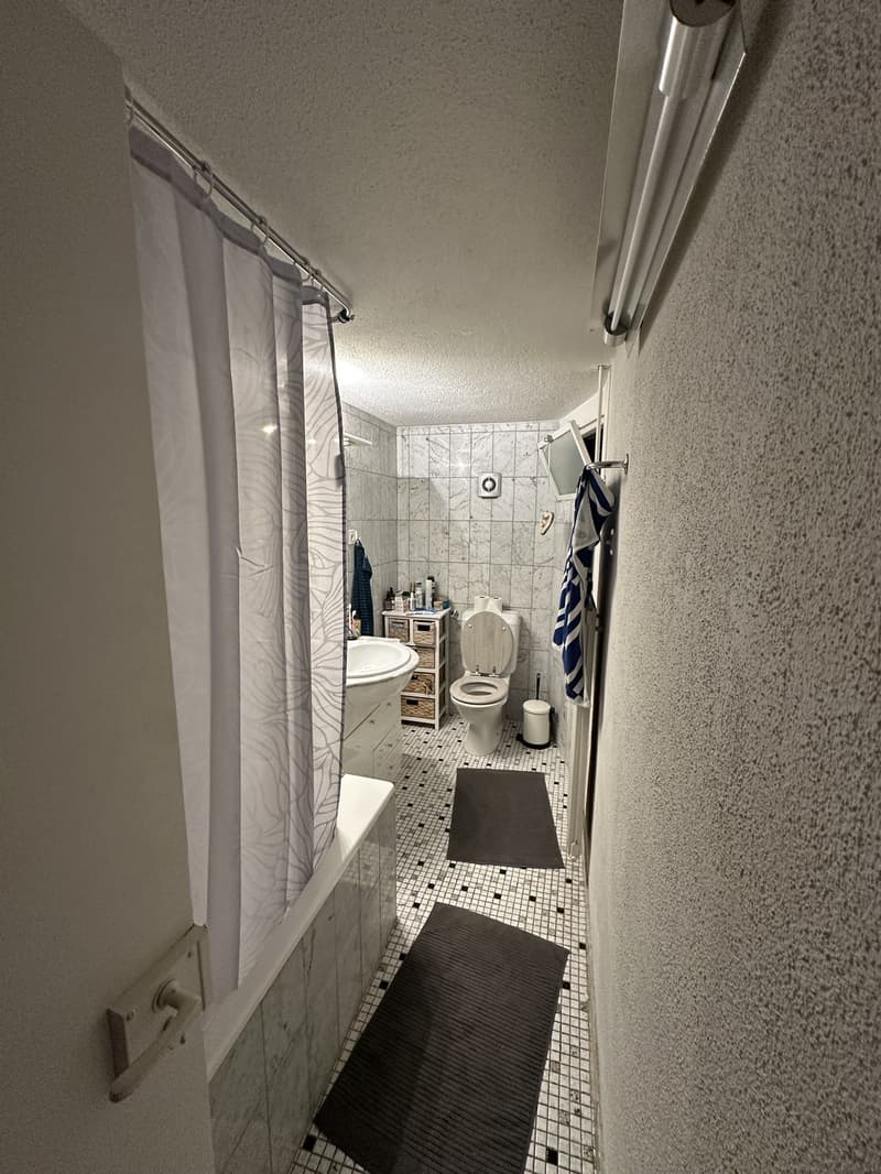 Charmante 4.5-Zimmer-Wohnung in Neftenbach  naturnah und sonnig (3)