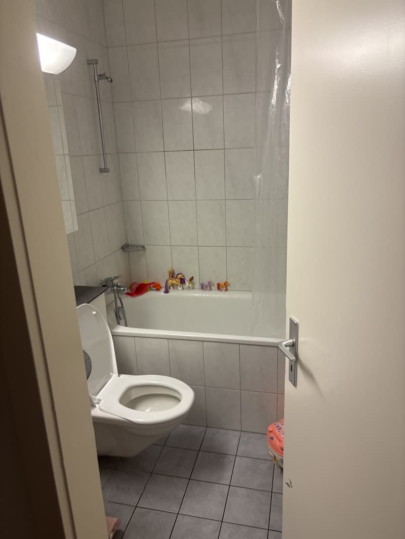 Wohnung Befristet 01.09.26 - 31.01.2027 (8)