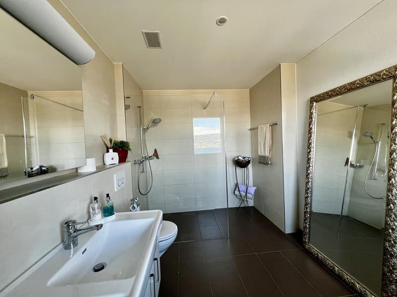 Eingerichtetes Zimmer mit Seeblick in eleganter Wohnung Horgen (4 Minuten von der Station) (5)