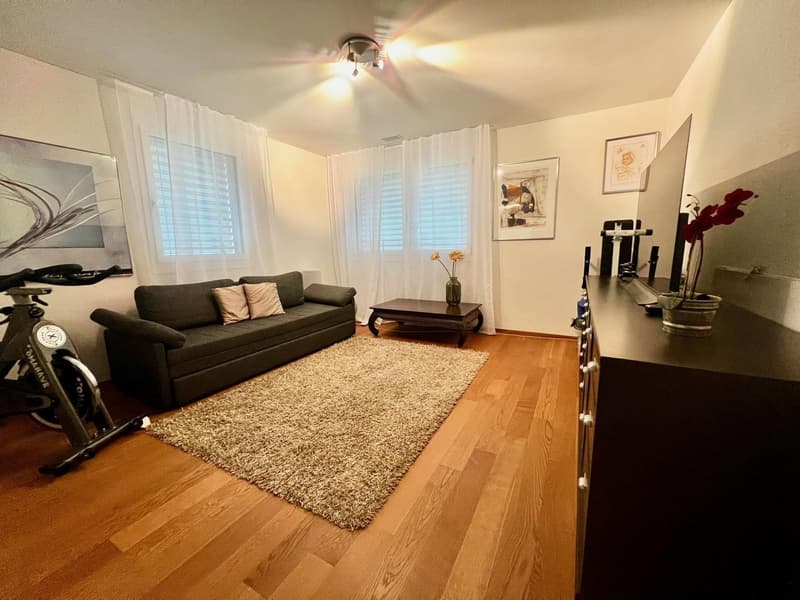 Eingerichtetes Zimmer mit Seeblick in eleganter Wohnung Horgen (4 Minuten von der Station) (7)