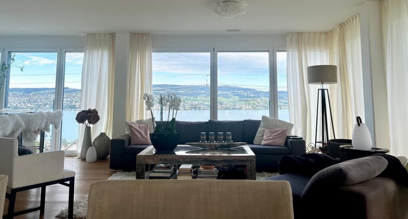 Eingerichtetes Zimmer mit Seeblick in eleganter Wohnung Horgen (4 Minuten von der Station) (1)