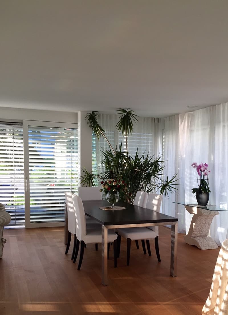 Eingerichtetes Zimmer mit Seeblick in eleganter Wohnung Horgen (4 Minuten von der Station) (8)