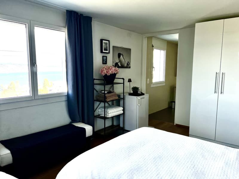 Eingerichtetes Zimmer mit Seeblick in eleganter Wohnung Horgen (4 Minuten von der Station) (3)