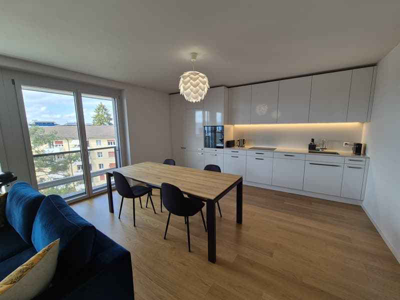Moderne Wohnung in Wetzikon ZH - Befrsitet auf 1 Jahr (Starttermin nach Absprache) (9)