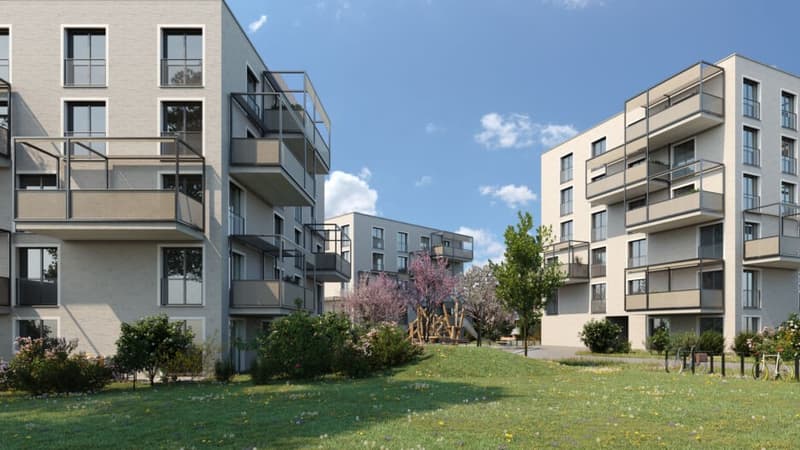 Moderne Wohnung in Wetzikon ZH - Befrsitet auf 1 Jahr (Starttermin nach Absprache) (2)