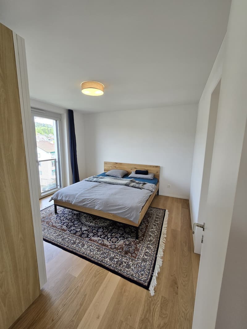 Moderne Wohnung in Wetzikon ZH - Befrsitet auf 1 Jahr (Starttermin nach Absprache) (11)
