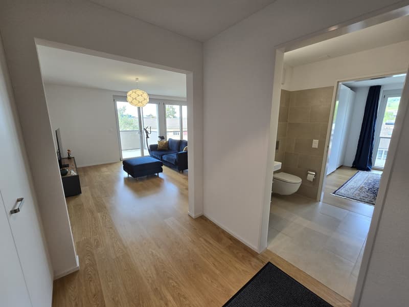 Moderne Wohnung in Wetzikon ZH - Befrsitet auf 1 Jahr (Starttermin nach Absprache) (4)