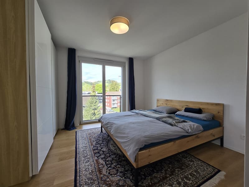 Moderne Wohnung in Wetzikon ZH - Befrsitet auf 1 Jahr (Starttermin nach Absprache) (12)