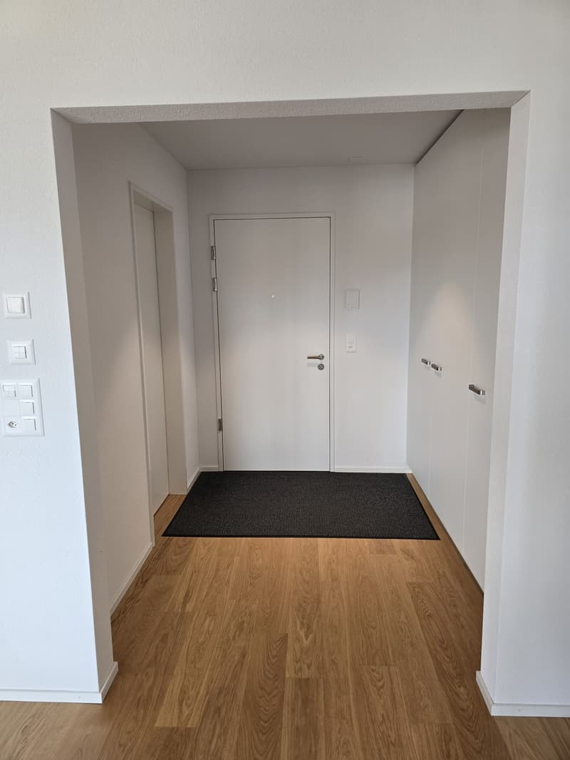 Moderne Wohnung in Wetzikon ZH - Befrsitet auf 1 Jahr (Starttermin nach Absprache) (1)