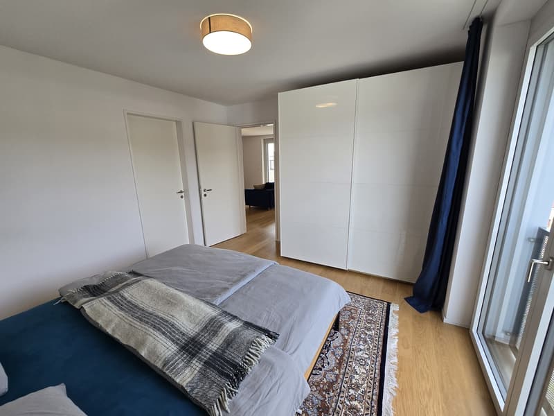 Moderne Wohnung in Wetzikon ZH - Befrsitet auf 1 Jahr (Starttermin nach Absprache) (13)