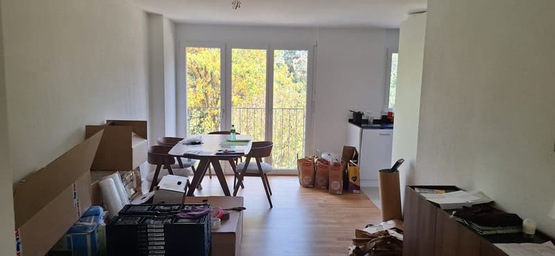 Helle 3.5er Wohnung mit 100m² in Oberwinterthur (1)
