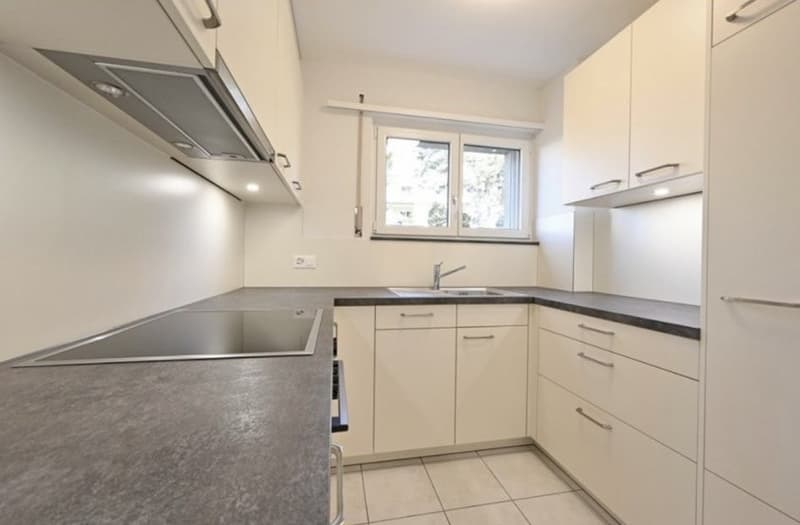 Attraktive 4-Zimmer-Wohnung mit grosser Terrasse und Garten in bester Lage  Nachmieter gesucht (2)