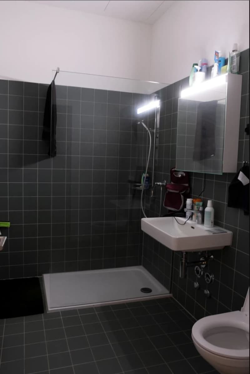 Stylish, bright loft apartment in Bernapark for temporary sublet for 12 months. (3)
