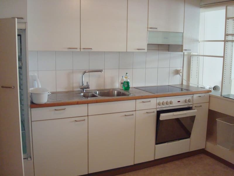 Altes Stadt Apartment (4)