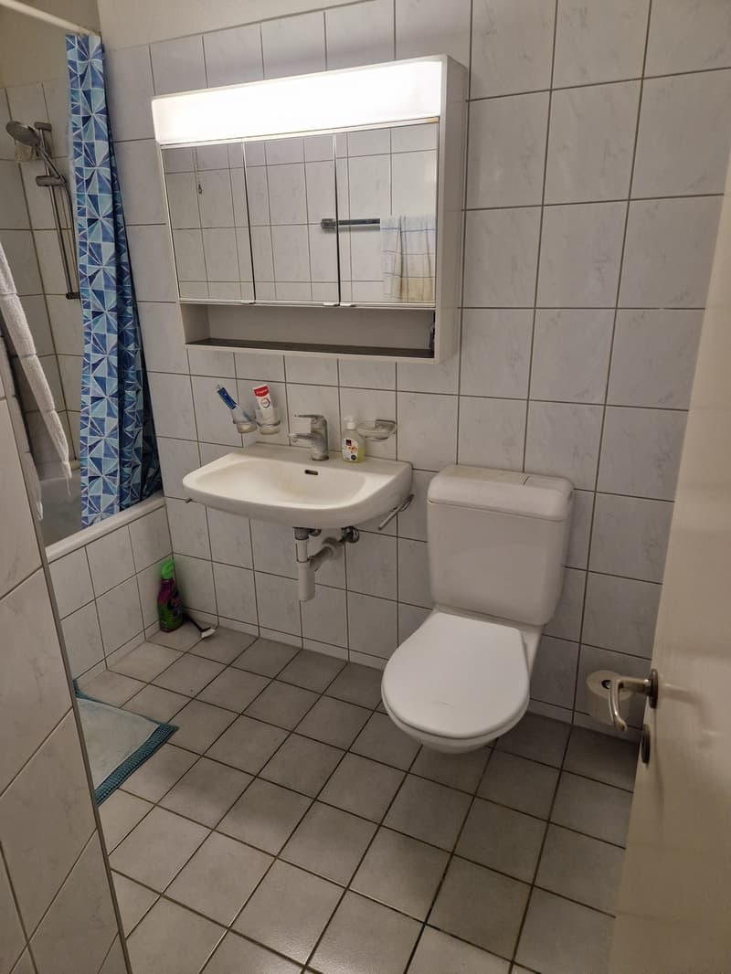 2 room apartment in quiet and peaceful building (7)