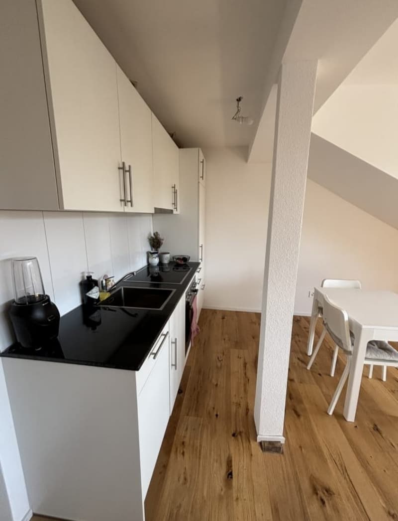 Attic studio (4)