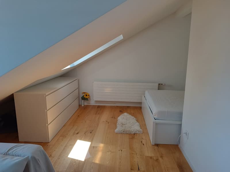 Attic studio (5)