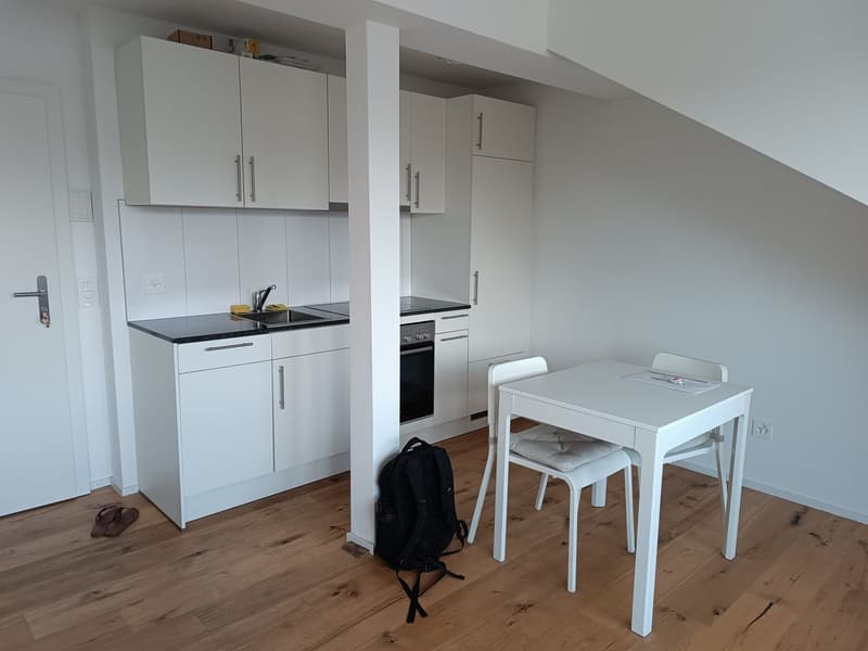 Attic studio (3)