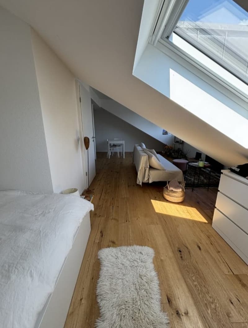 Attic studio (7)