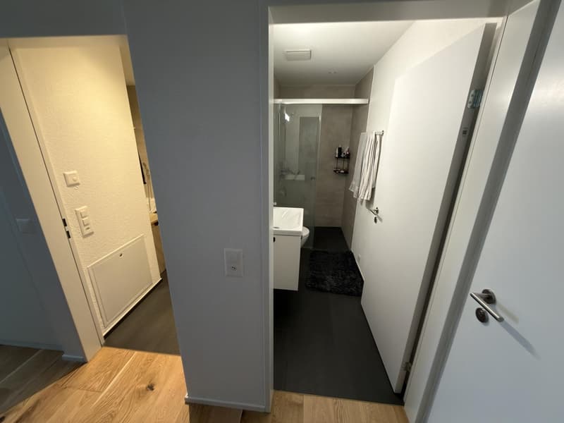 Moderne 3.5-Zimmer-Neubauwohnung inkl. NK und Doppelparkplatz in Nürensdorf (7)