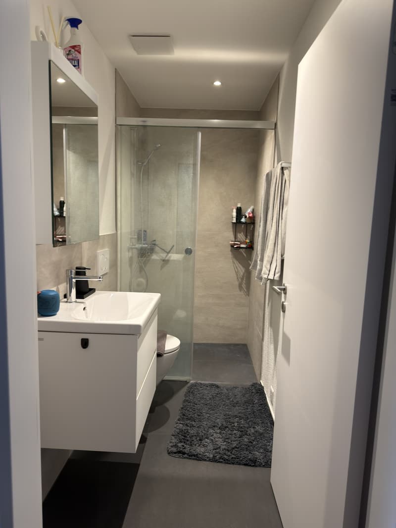 Moderne 3.5-Zimmer-Neubauwohnung inkl. NK und Doppelparkplatz in Nürensdorf (8)