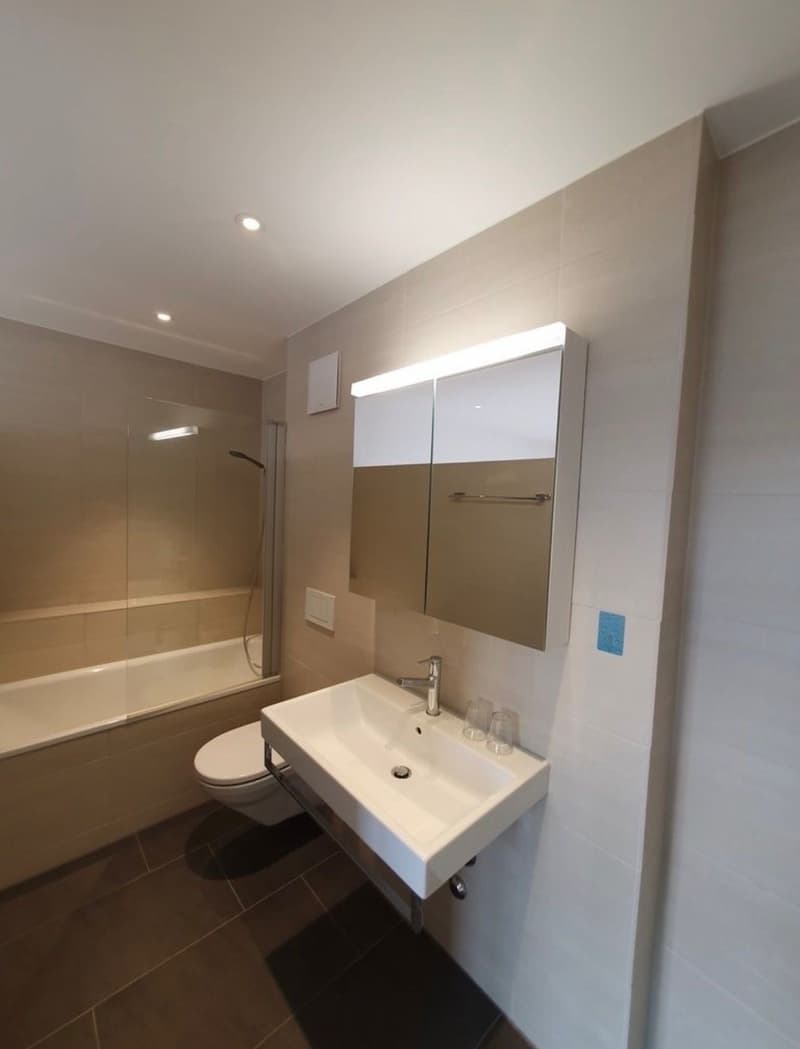 Moderne Wohnung mit grosser Dachterrasse (6)