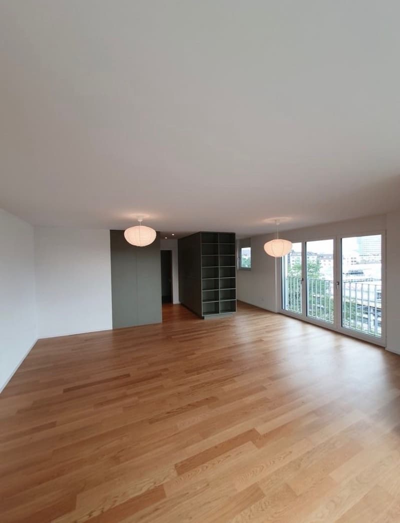 Moderne Wohnung mit grosser Dachterrasse (2)