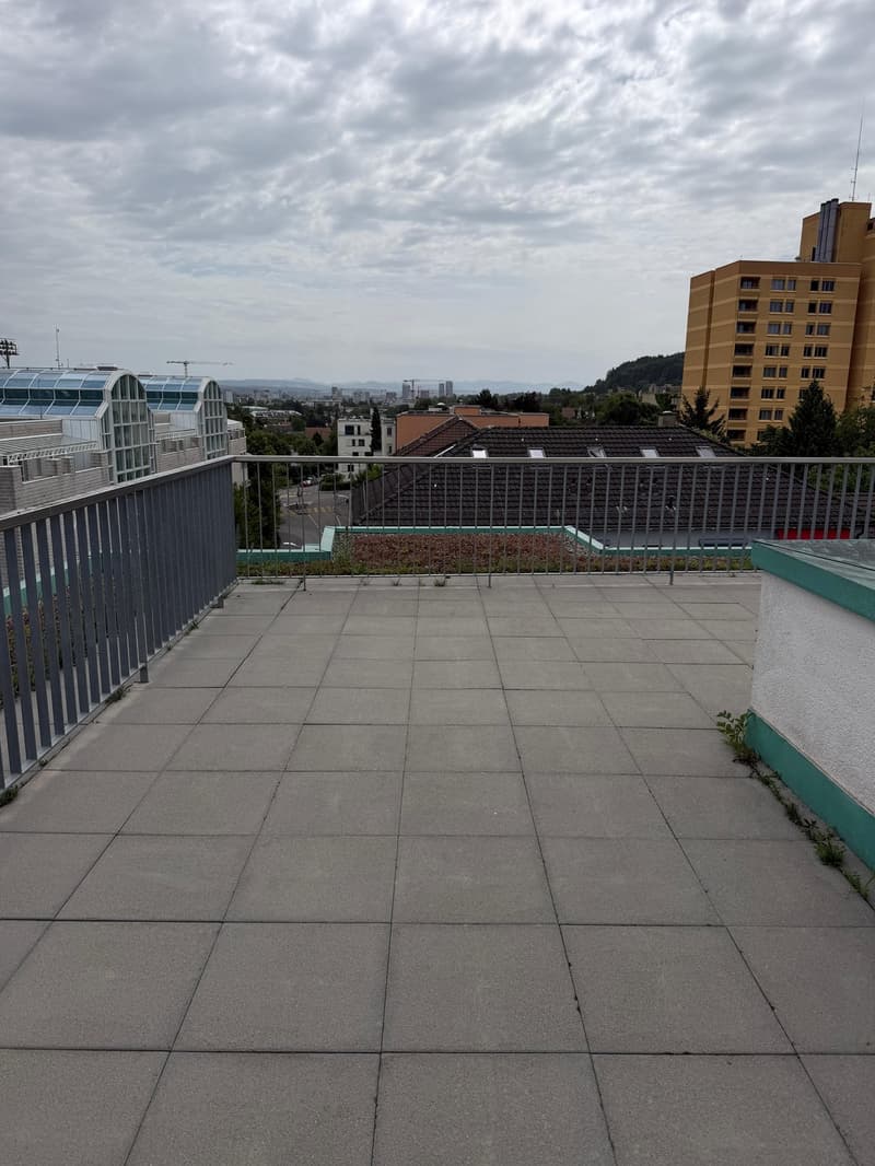 Moderne Wohnung mit grosser Dachterrasse (9)