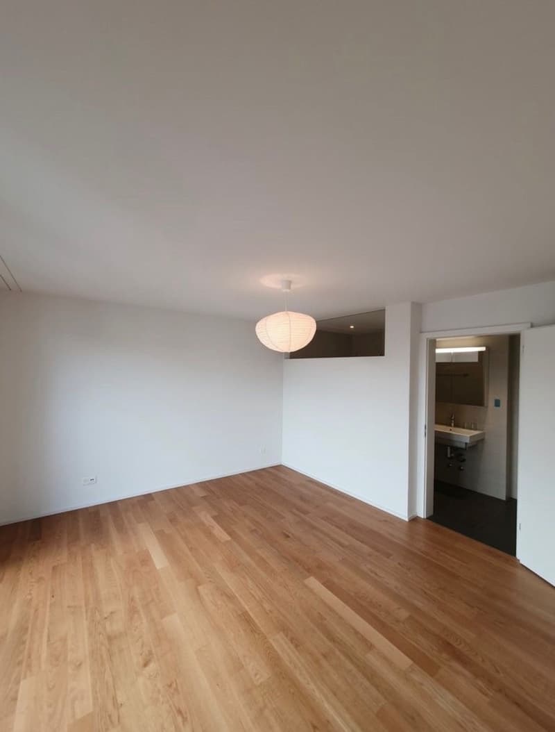 Moderne Wohnung mit grosser Dachterrasse (4)