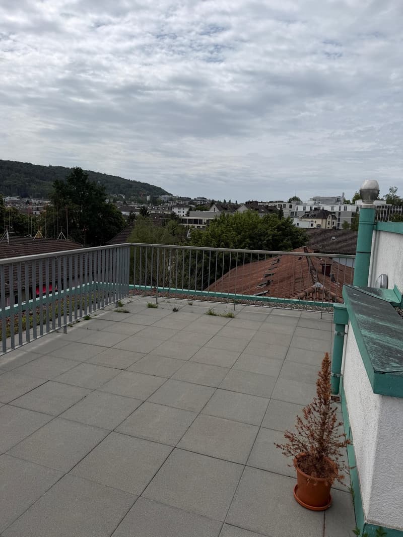 Moderne Wohnung mit grosser Dachterrasse (10)