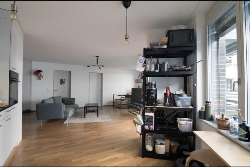Schönes Zimmer + eigenes Badezimmer in Wiedikon, ab 1. August verfügbar! (5)