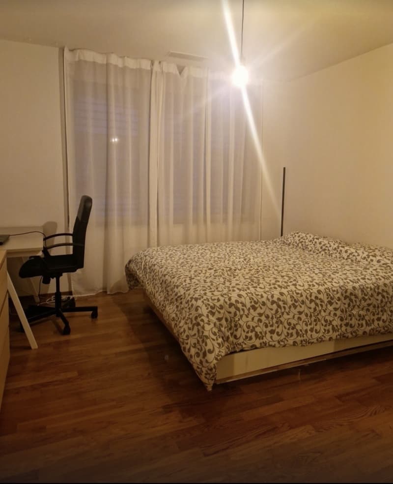 Schönes Zimmer + eigenes Badezimmer in Wiedikon, ab 1. August verfügbar! (4)