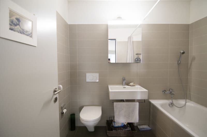 Schönes Zimmer + eigenes Badezimmer in Wiedikon, ab 1. August verfügbar! (3)