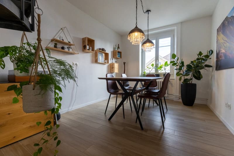 Charmante Attikawohnung in Zürich Oerlikon (3)