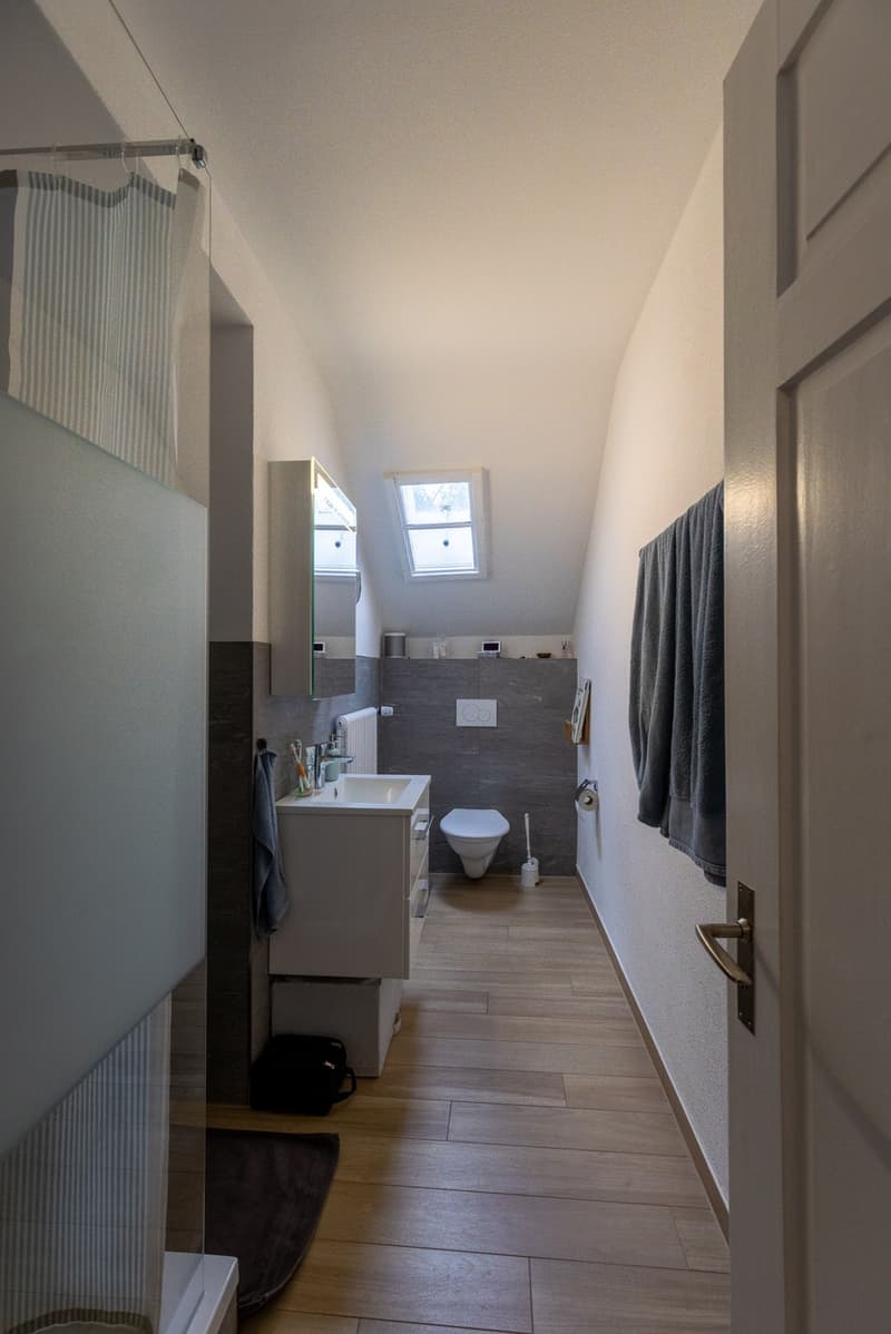 Charmante Attikawohnung in Zürich Oerlikon (5)