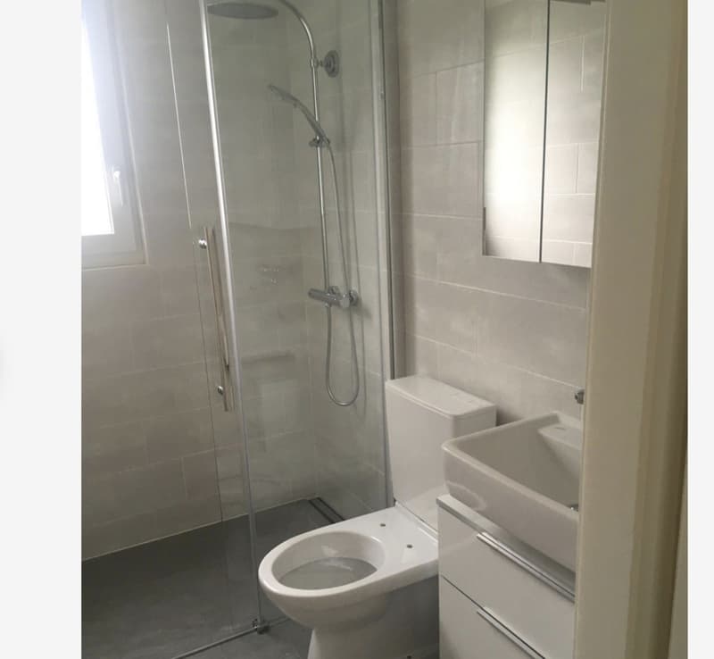 4 1/2 room garden apartment in Heimberg (4)