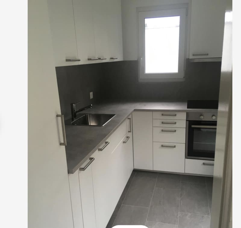 4 1/2 room garden apartment in Heimberg (5)