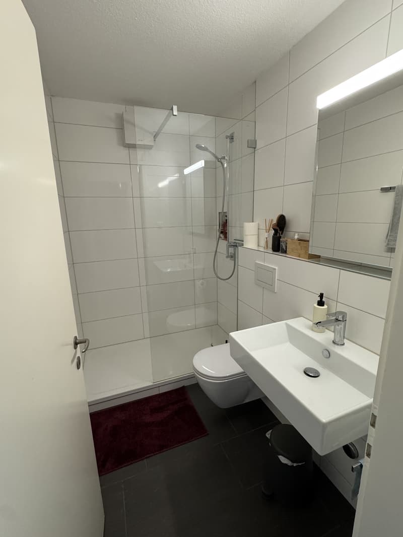 Helle 2.5-Zimmer-Wohnung mit Balkon in ruhiger, zentraler Lage (3)