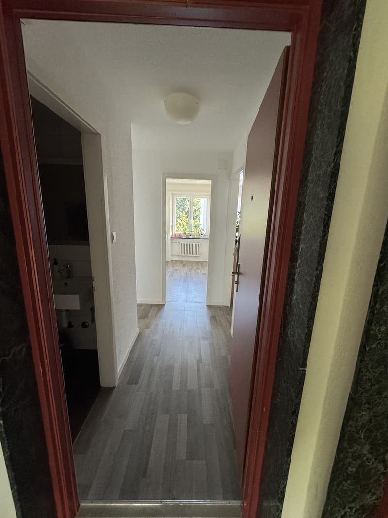 Helle 2.5-Zimmer-Wohnung mit Balkon in ruhiger, zentraler Lage (7)