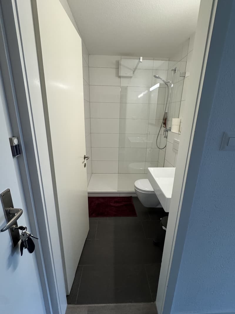 Helle 2.5-Zimmer-Wohnung mit Balkon in ruhiger, zentraler Lage (2)