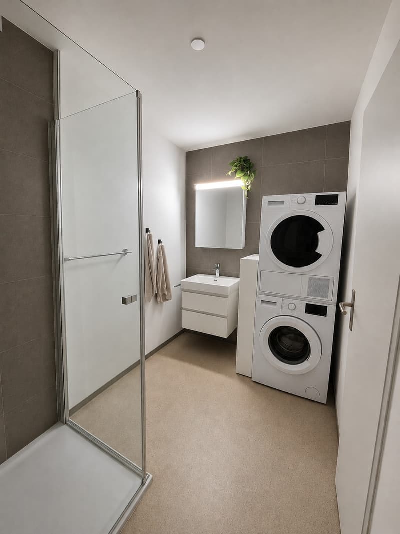 Möblierte Wohnung zur Untermiete (8)